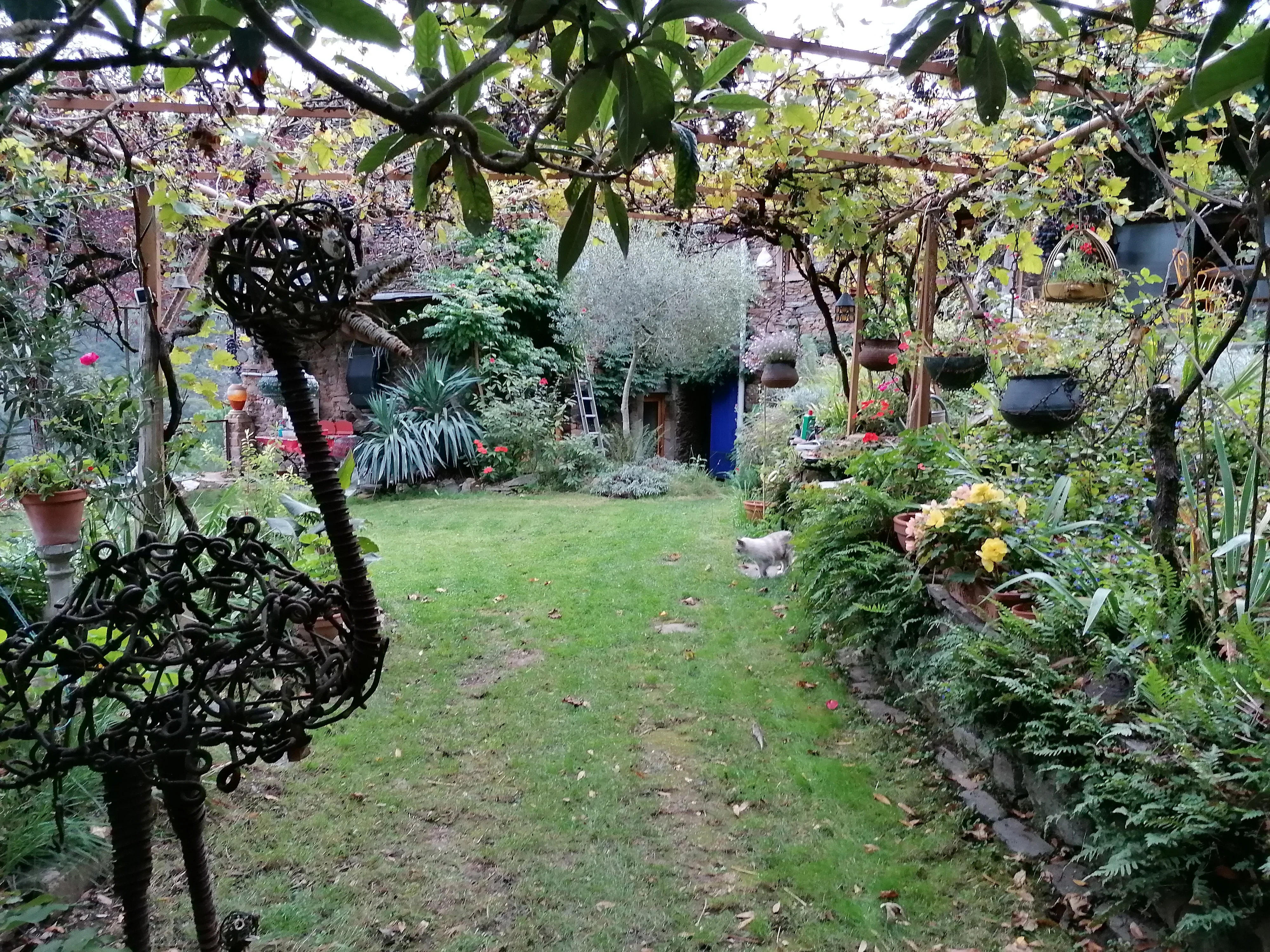 Le jardin
