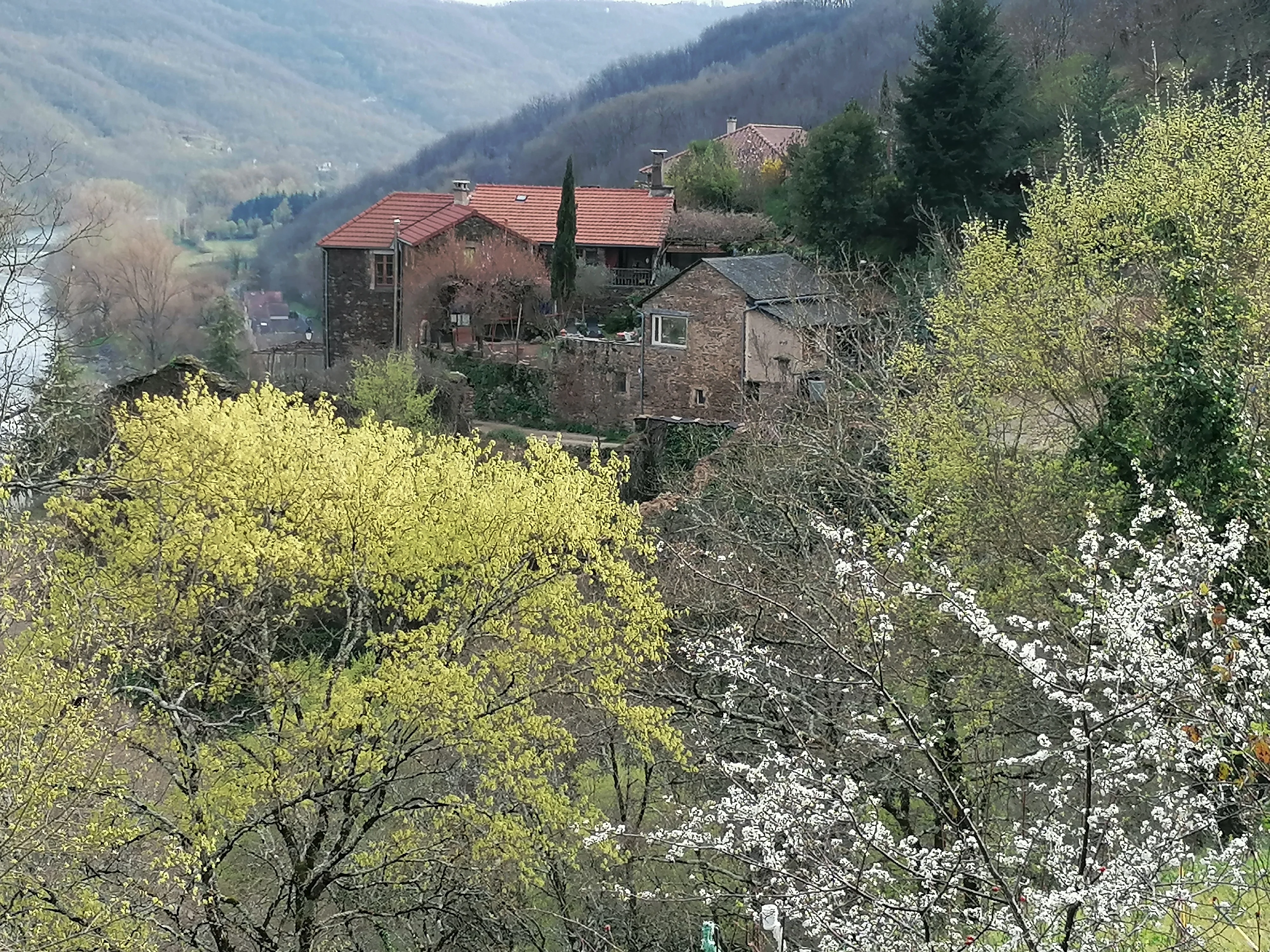 La Jourdanie printemps