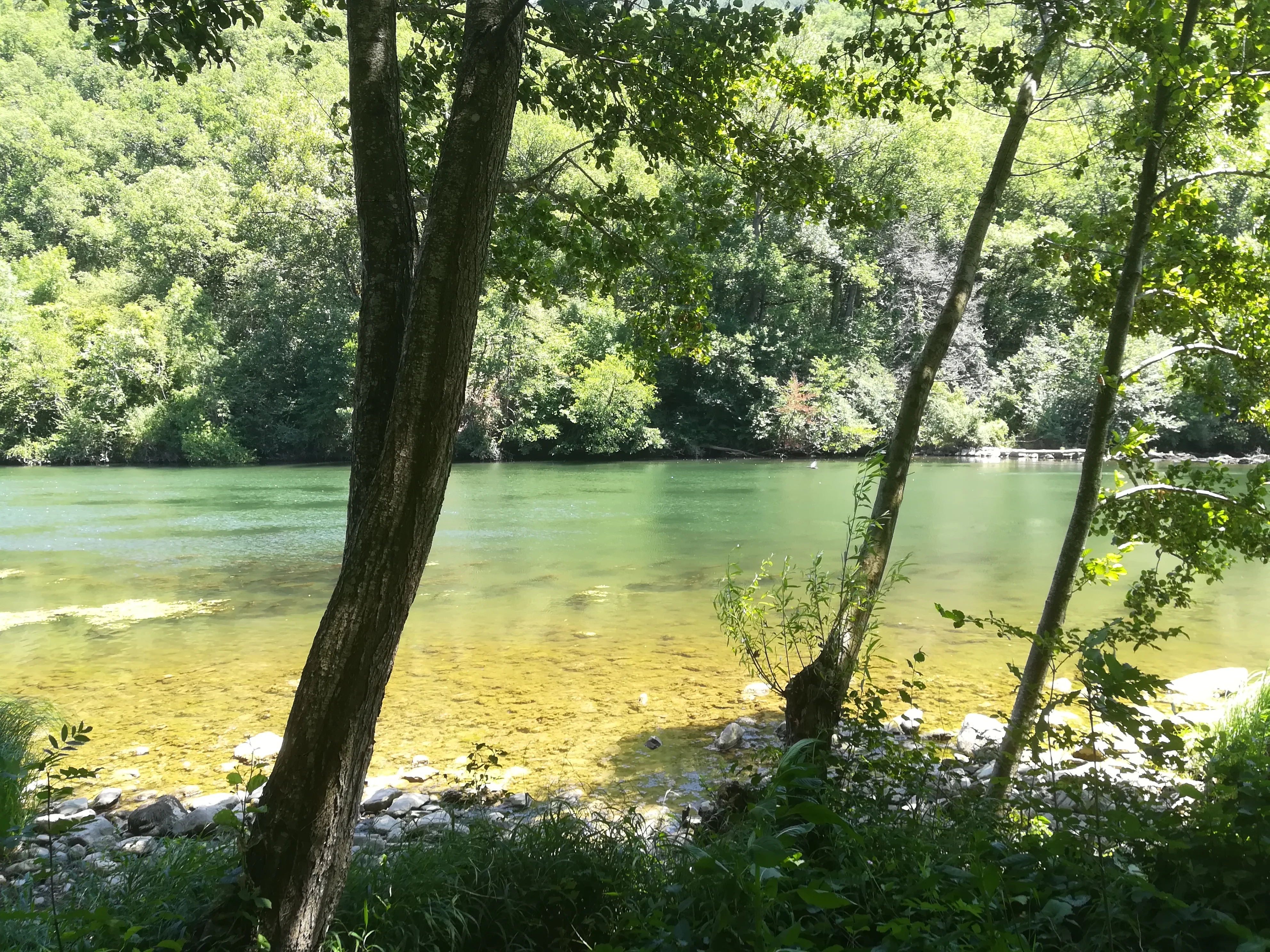 la riviere à 500m